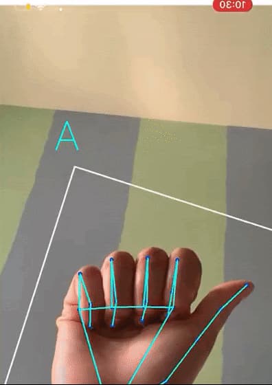 Real-Time ASL Translation using Google's BlazePalm